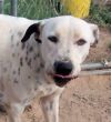 Spots photo 1
