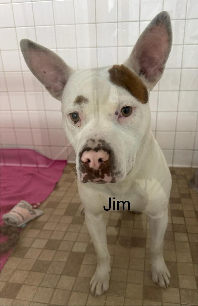 Jim 2