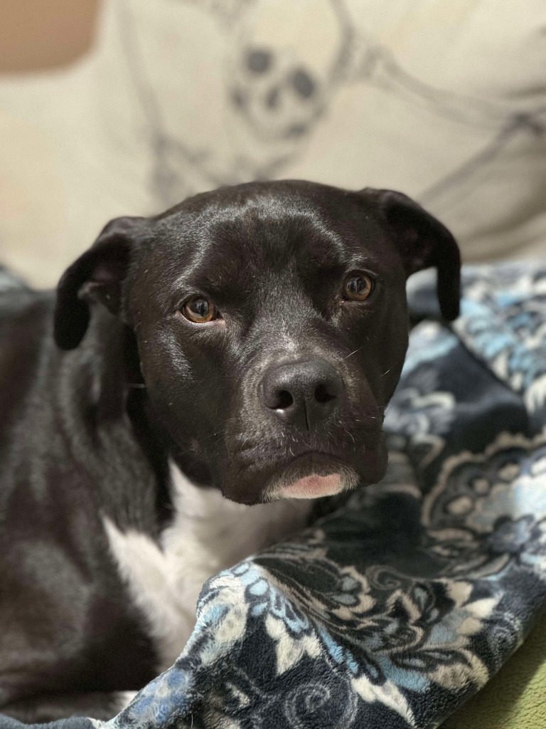 Oakley