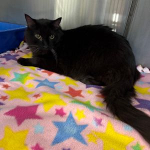 Lawrence, Senior Male unknown