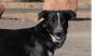 Grady photo 1