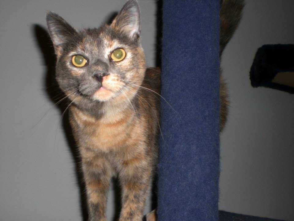 Molly