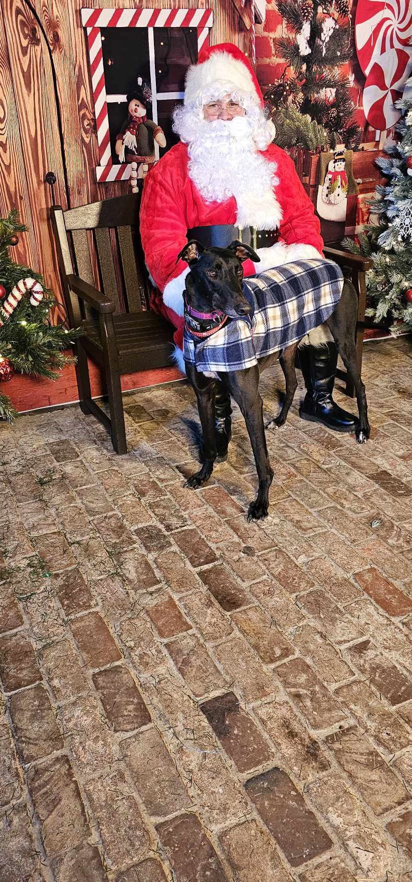 Nash