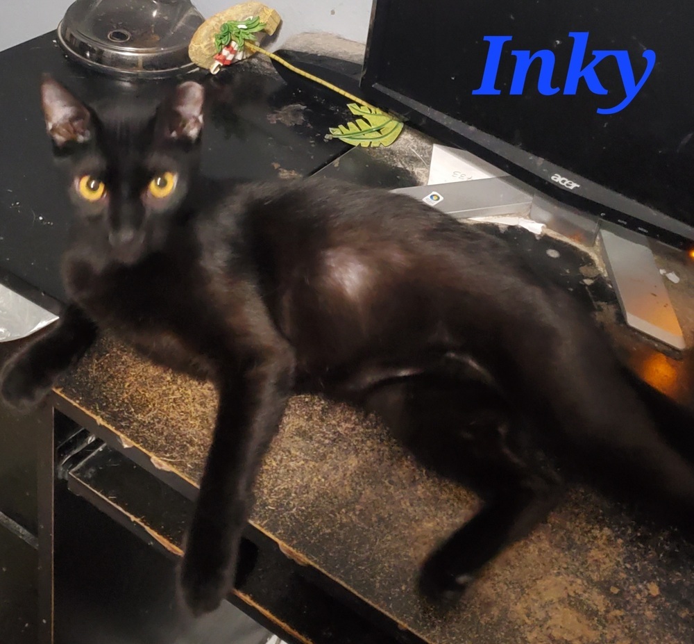Inky