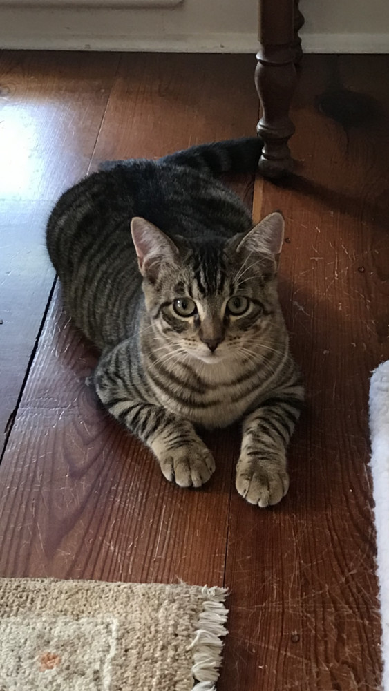 Charley