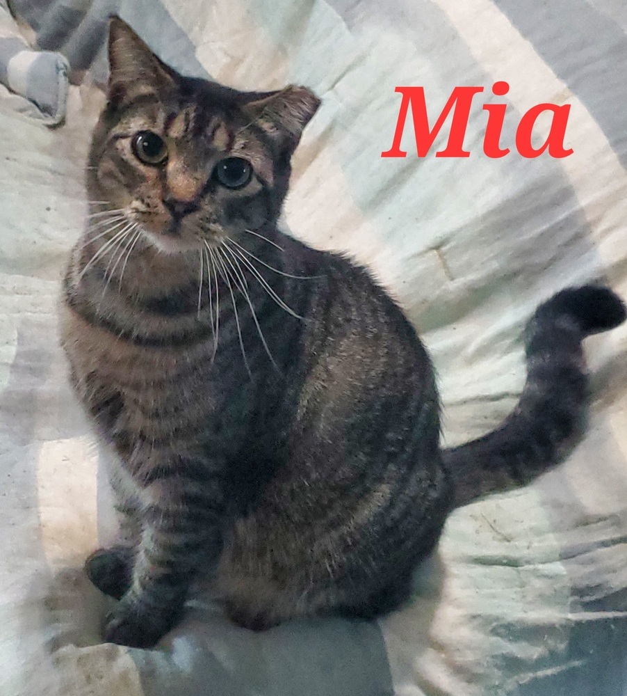 Mia