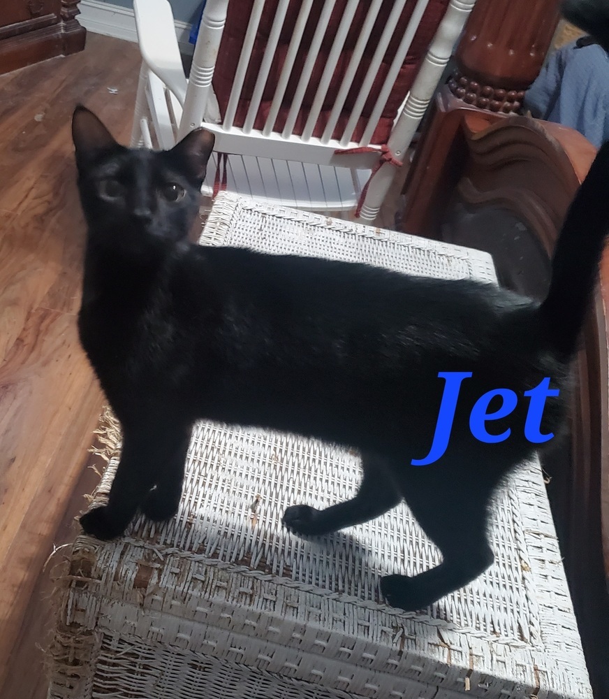 Jet