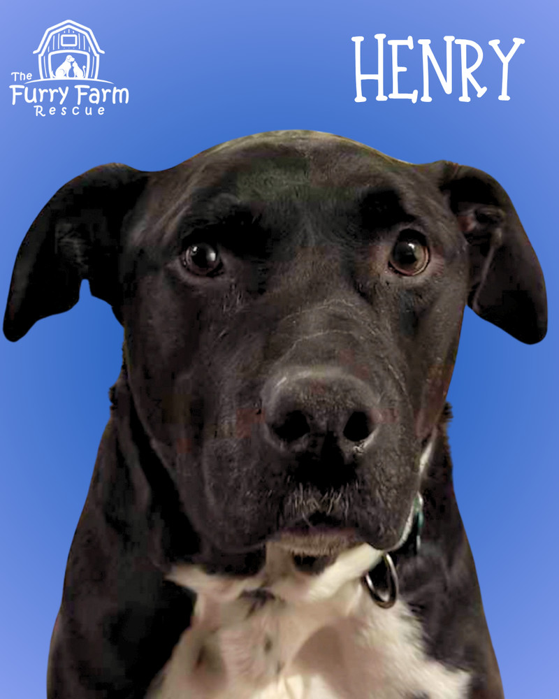 Henry