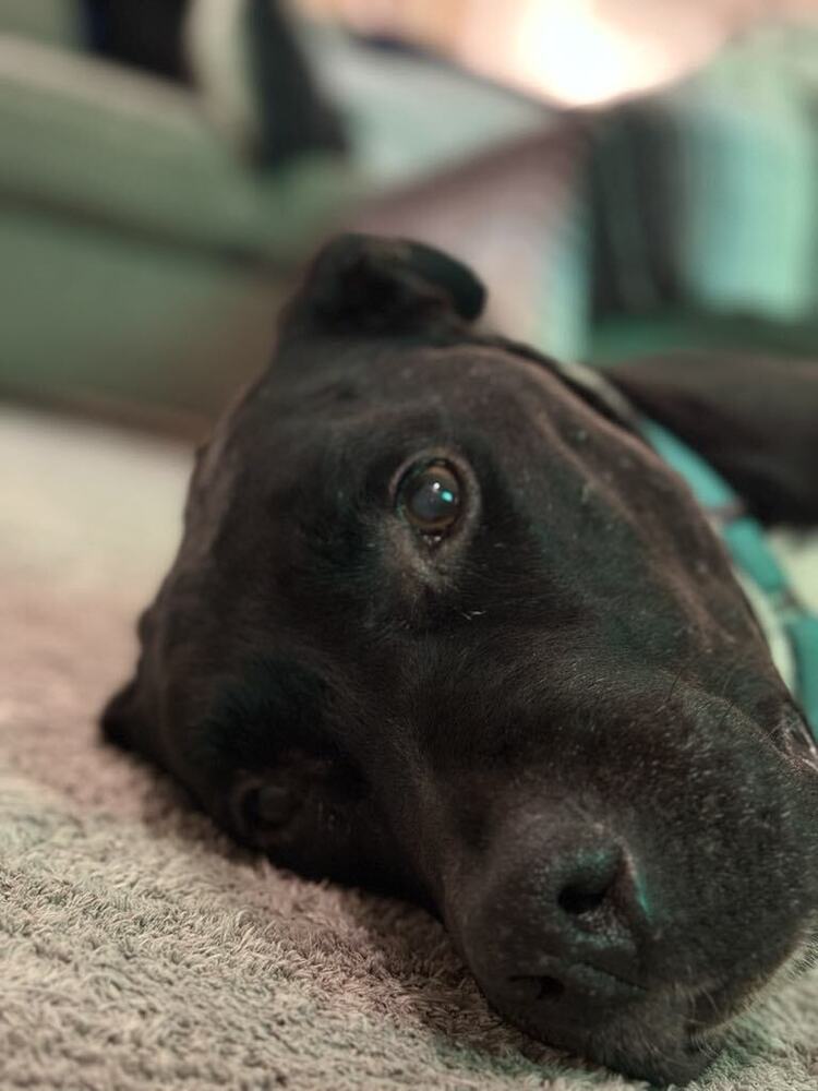 Henry