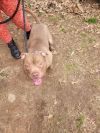 Jax photo 2