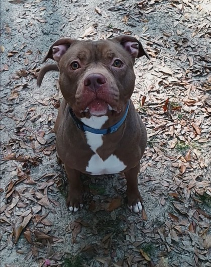 Jax 3