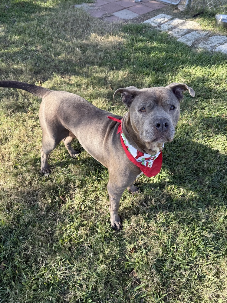 Maggie