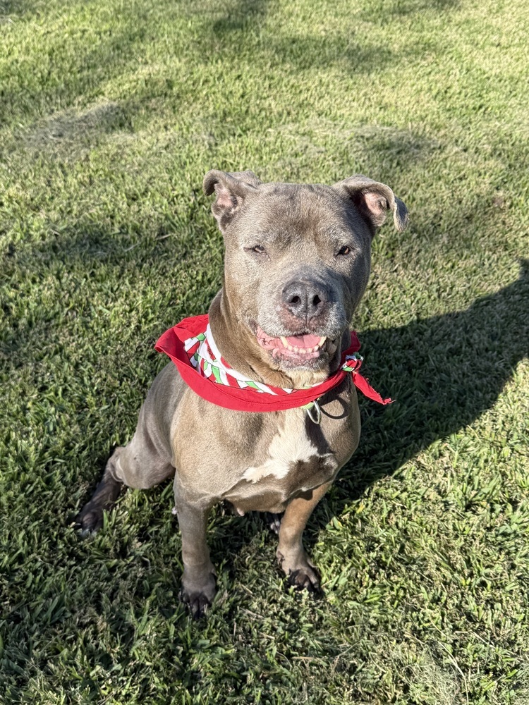 Maggie