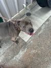 Maggie photo 6