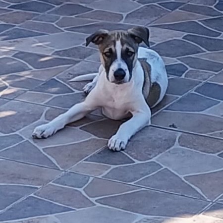 Jack