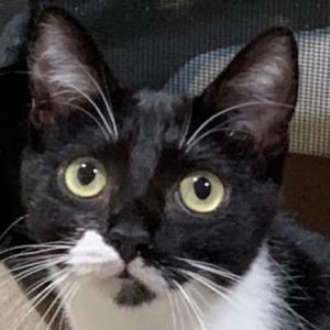 Meet Reba a member of the country crooner family Petite Reba in her tidy lit