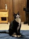 Maggie May photo 2