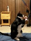Maggie May photo 3