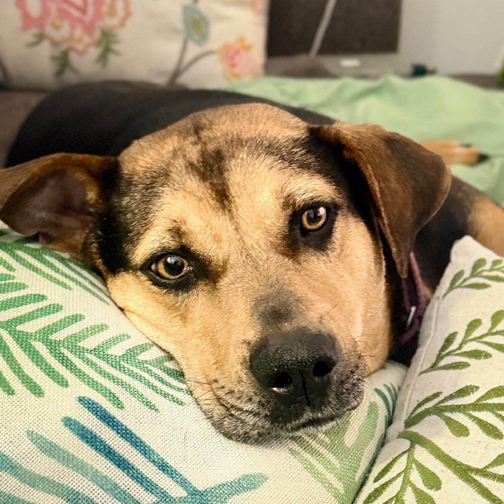 Tilly