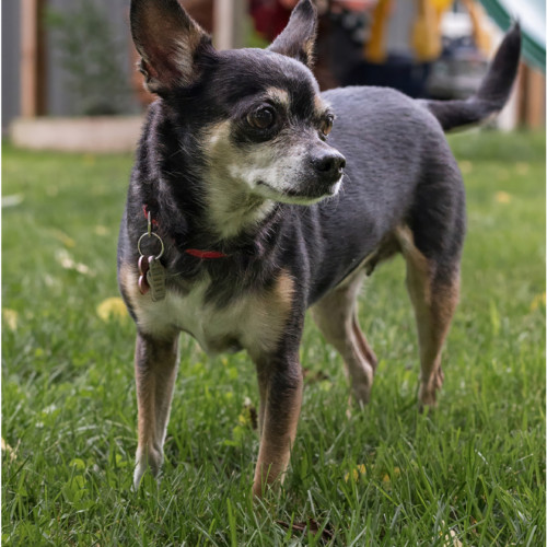 Zoey