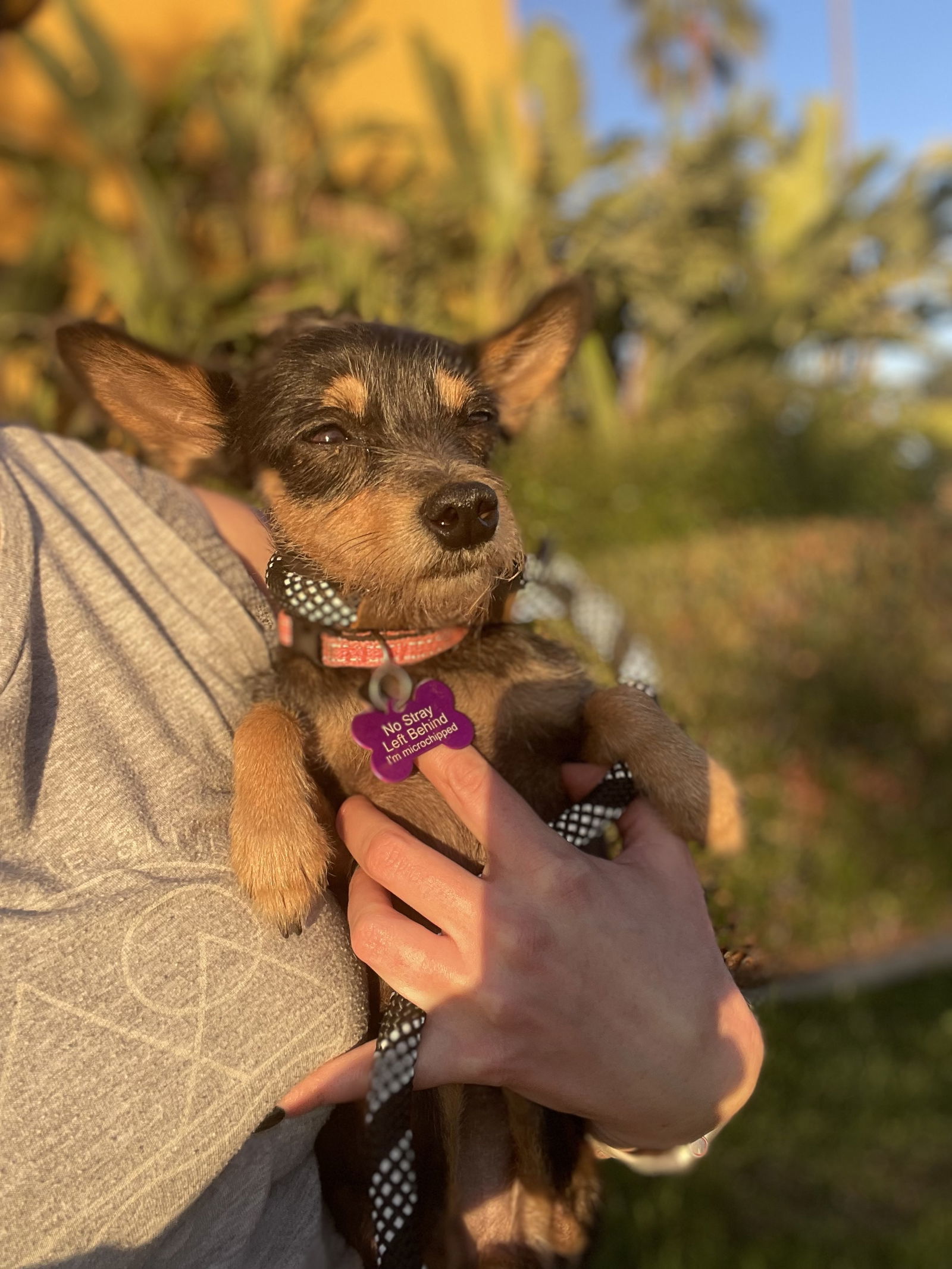 Frida