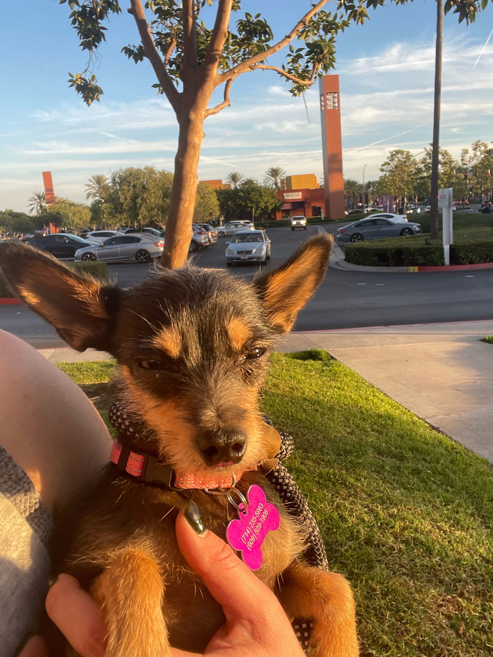Frida