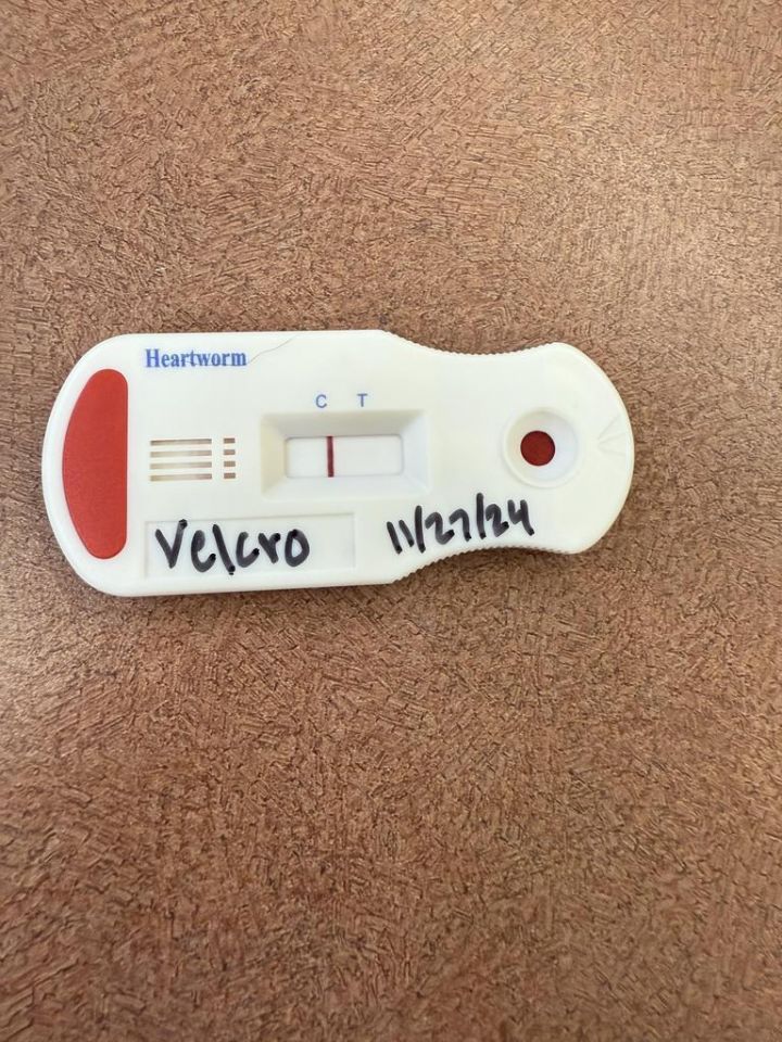 Velcro 2