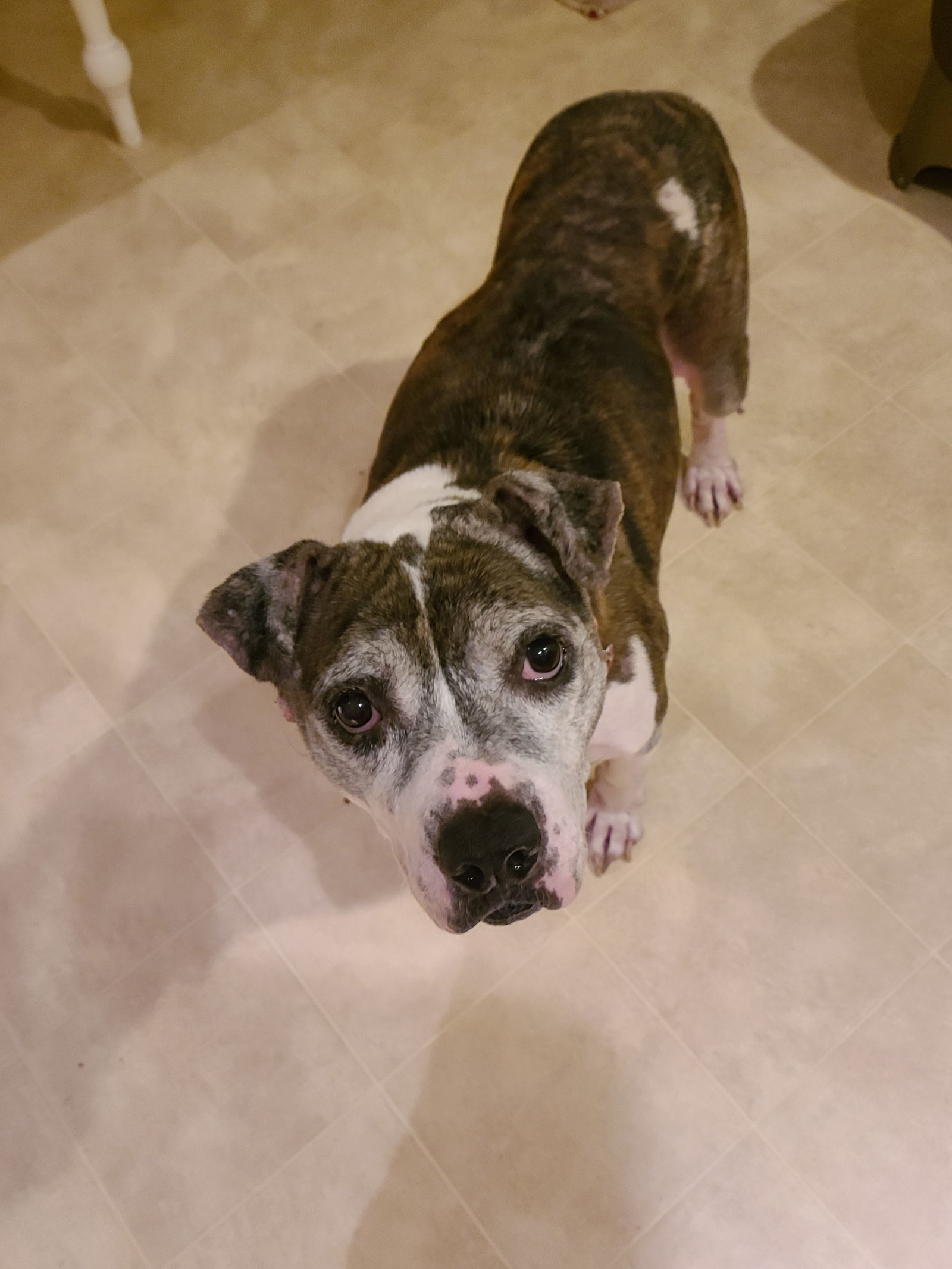 Pepper