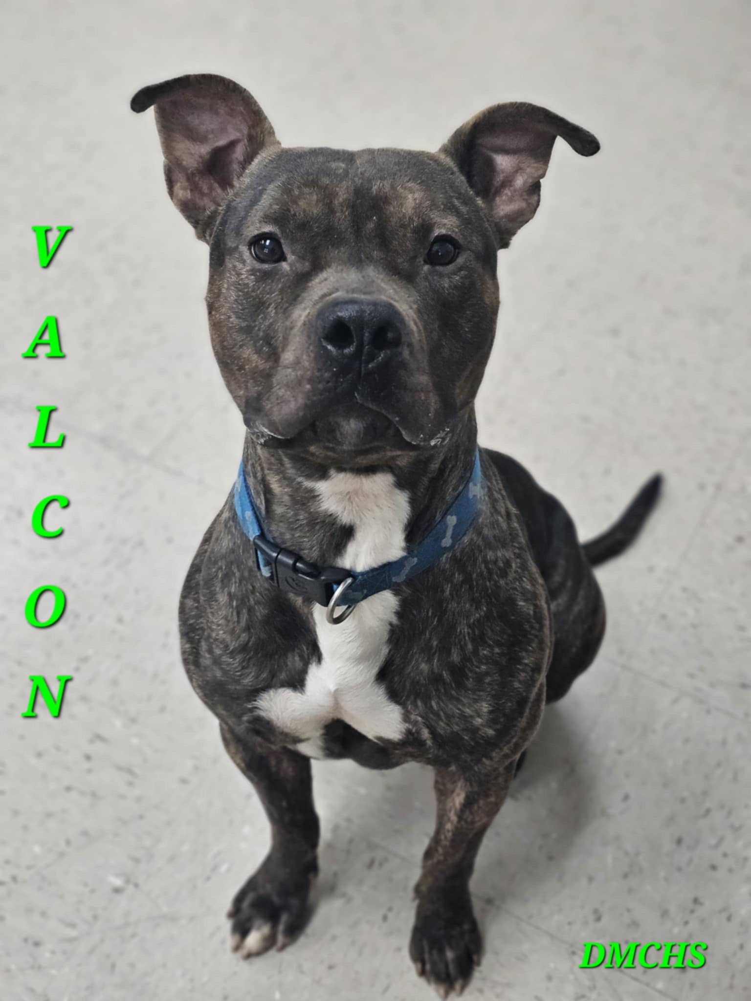 Valcon