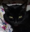 princess photo 1