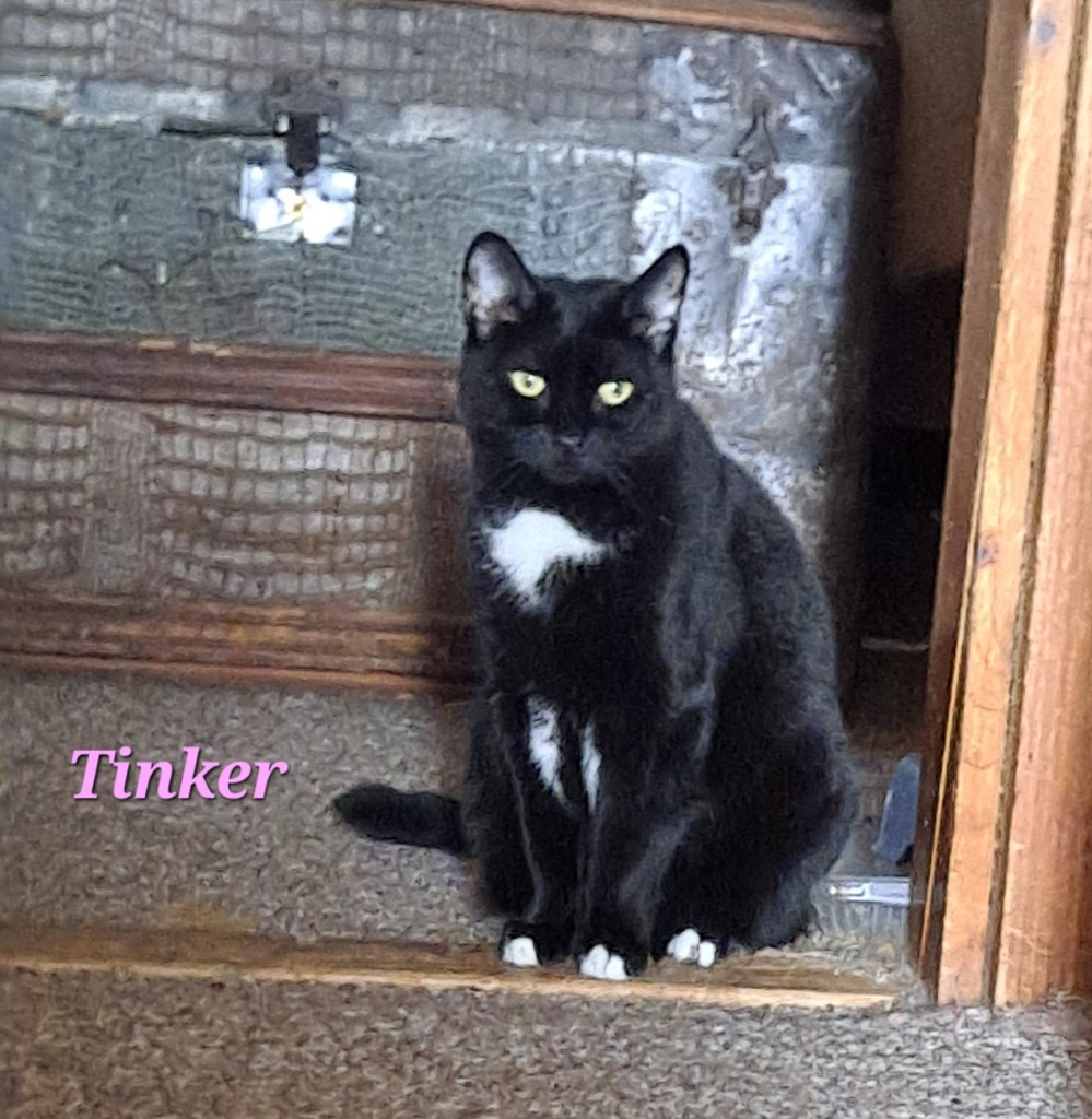 Tinker