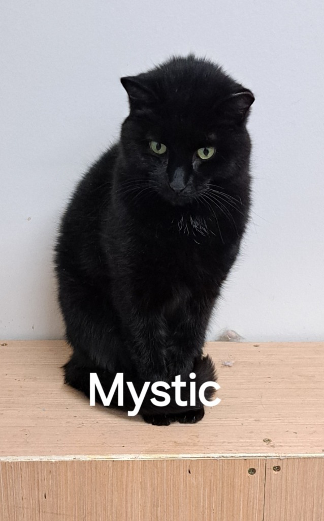 Mystic