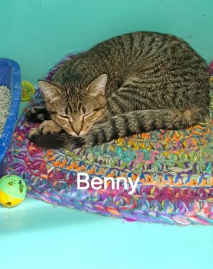 Benny, Young Female unknown