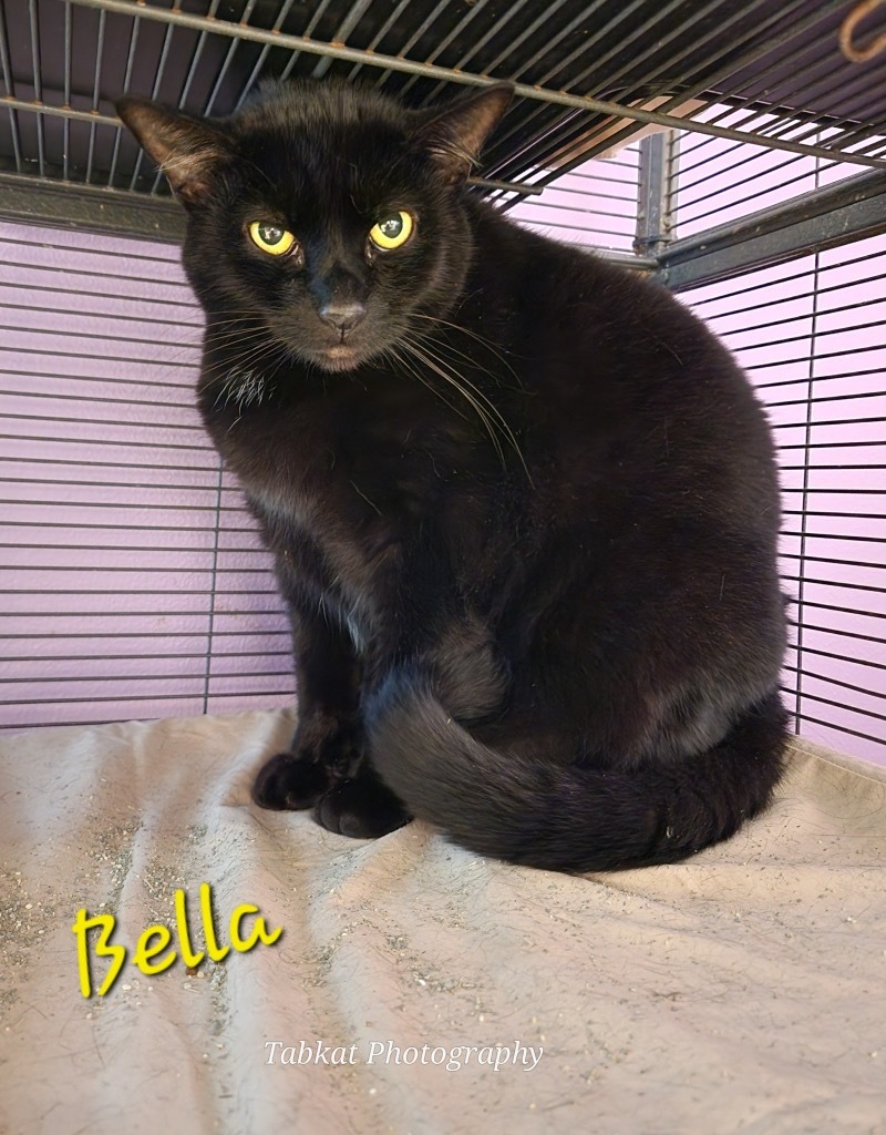 Bella