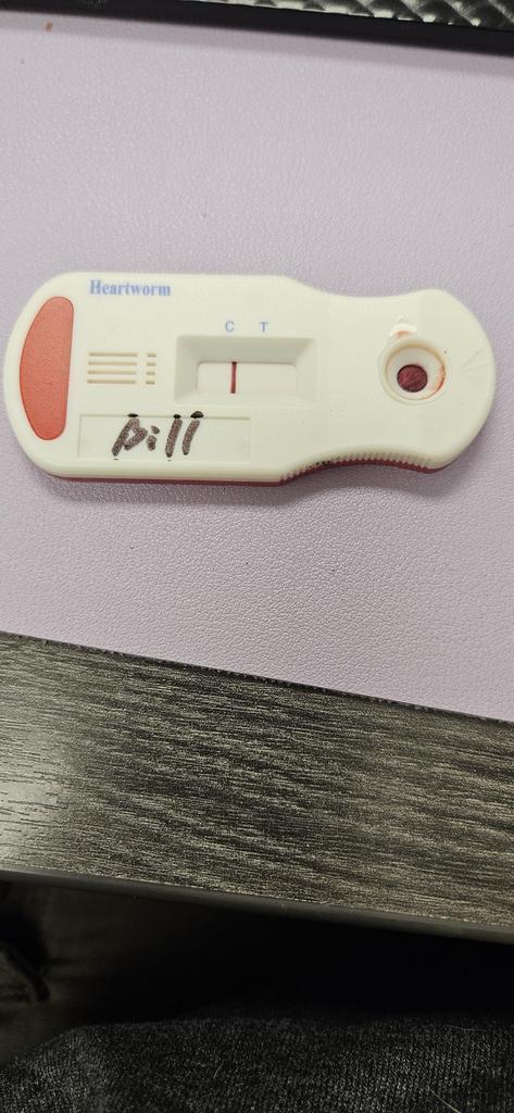 Bill