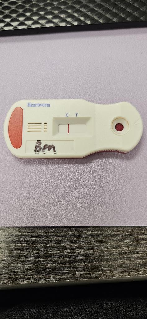 Ben