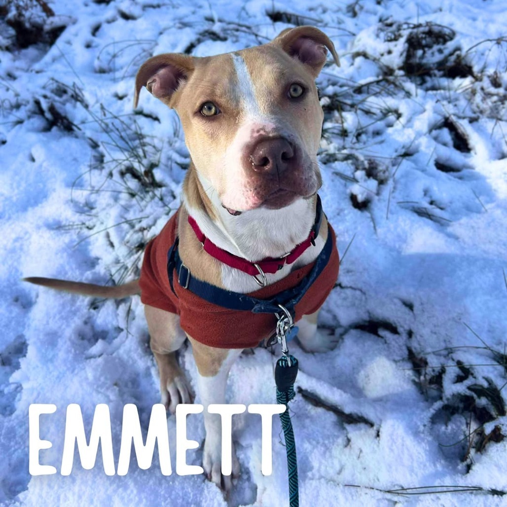 Emmett