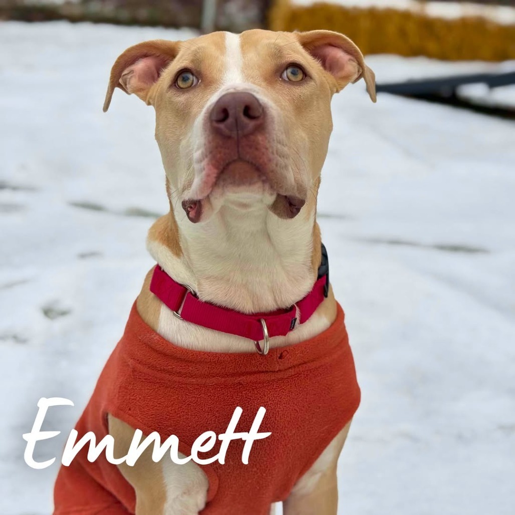 Emmett