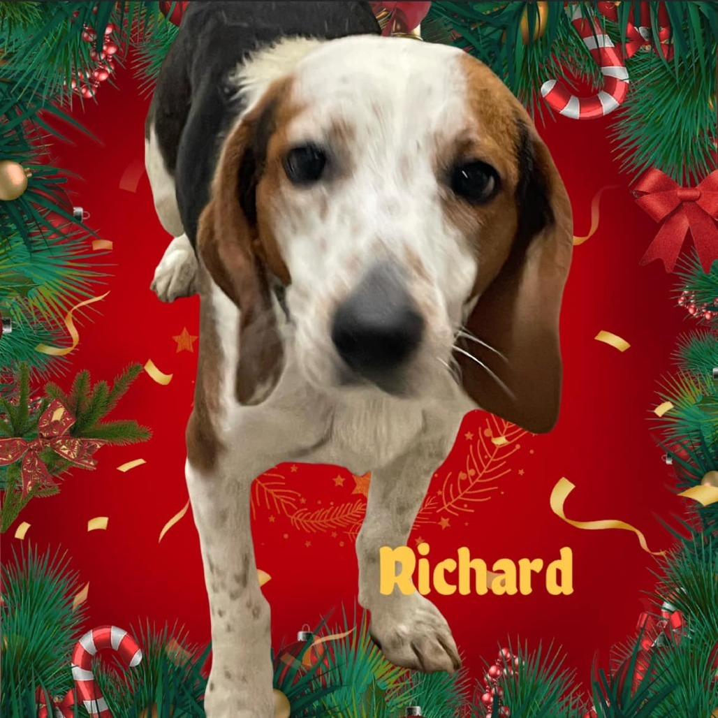 Richard