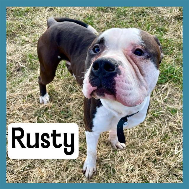 RUSTY