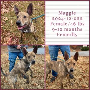 2024-12-022 *Maggie*