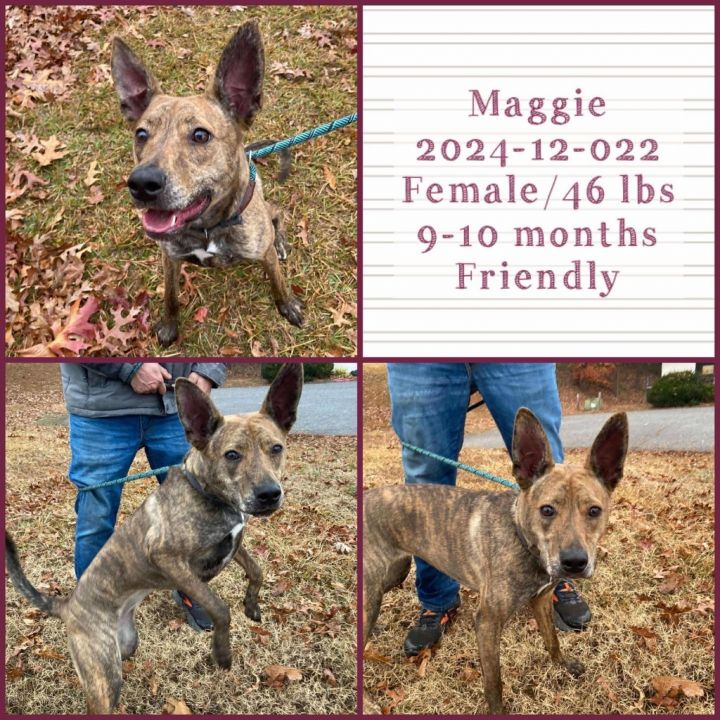 2024-12-022 *Maggie* 1