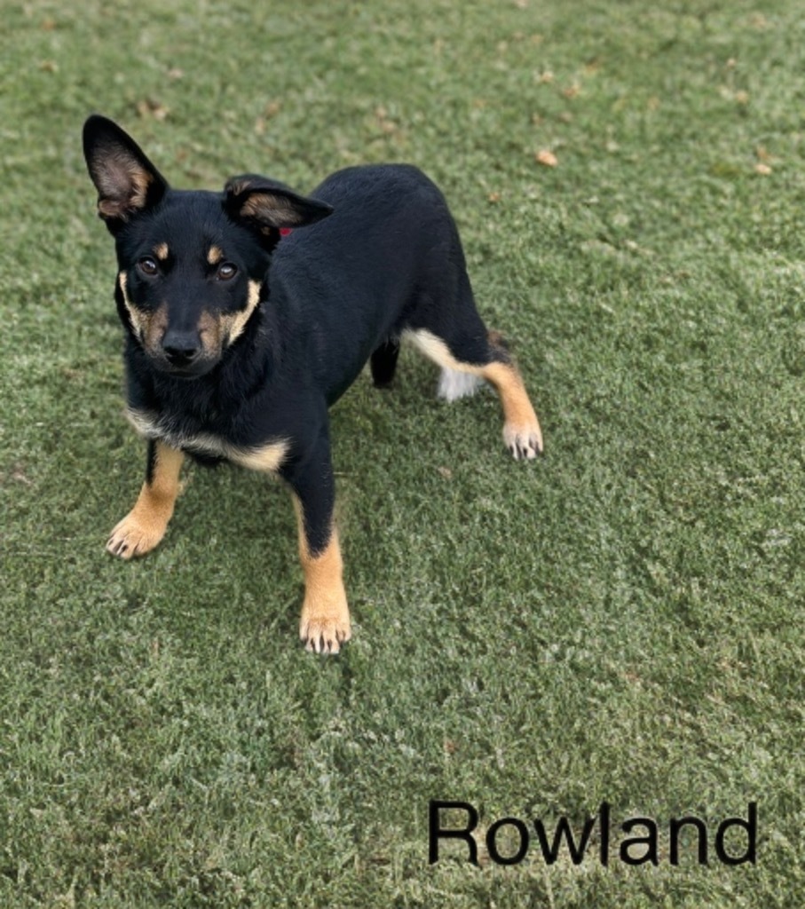 Rowland
