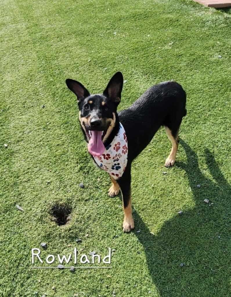 Rowland