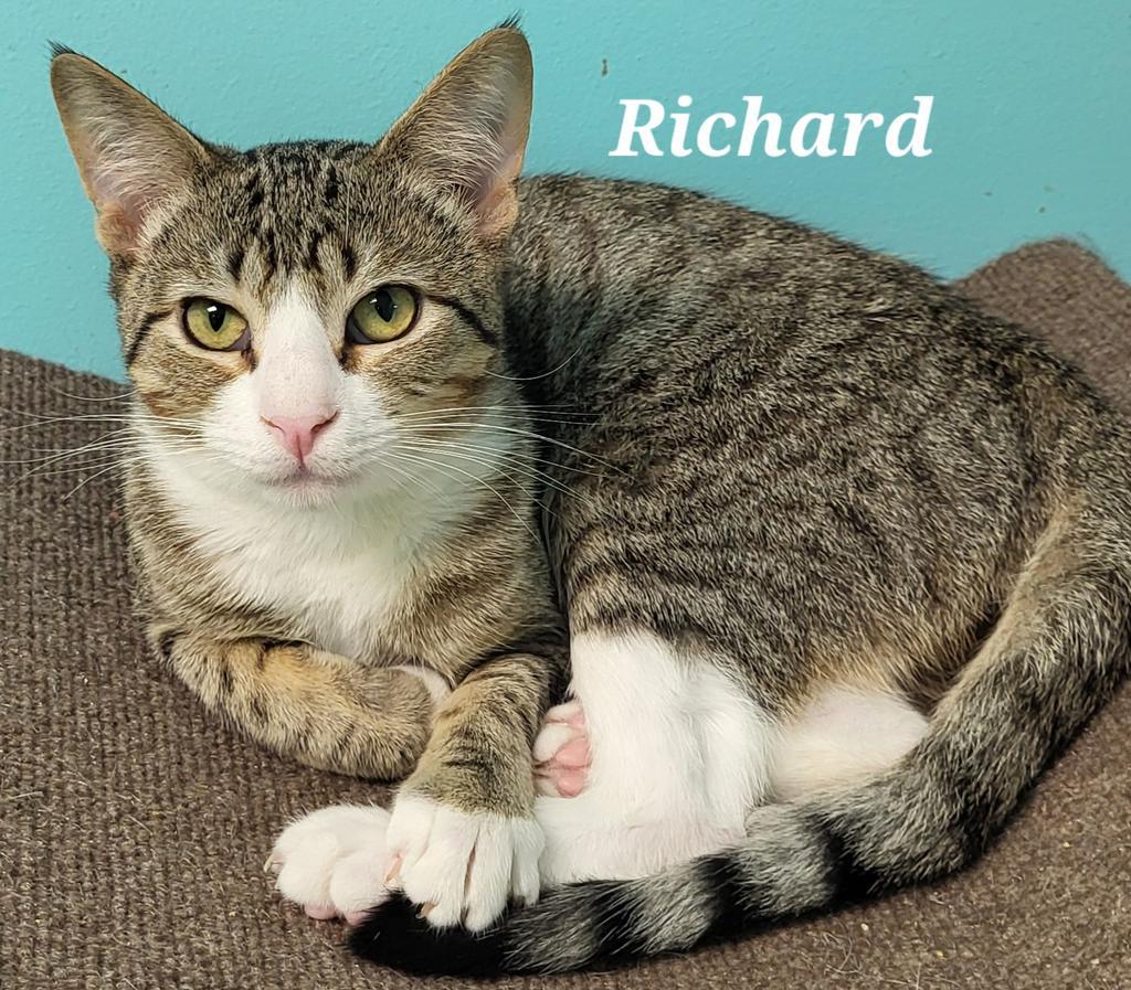 Richard