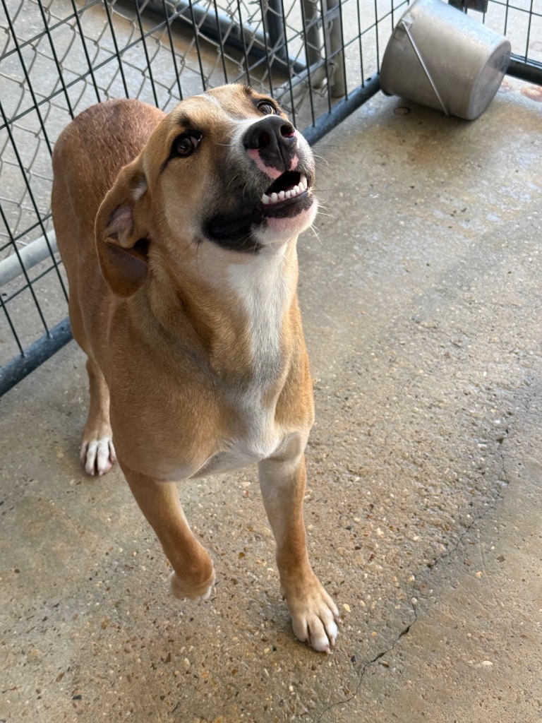 Ella (Noel) (PA)