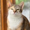 Nadia photo 3