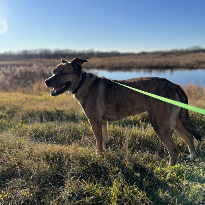 Tika 2