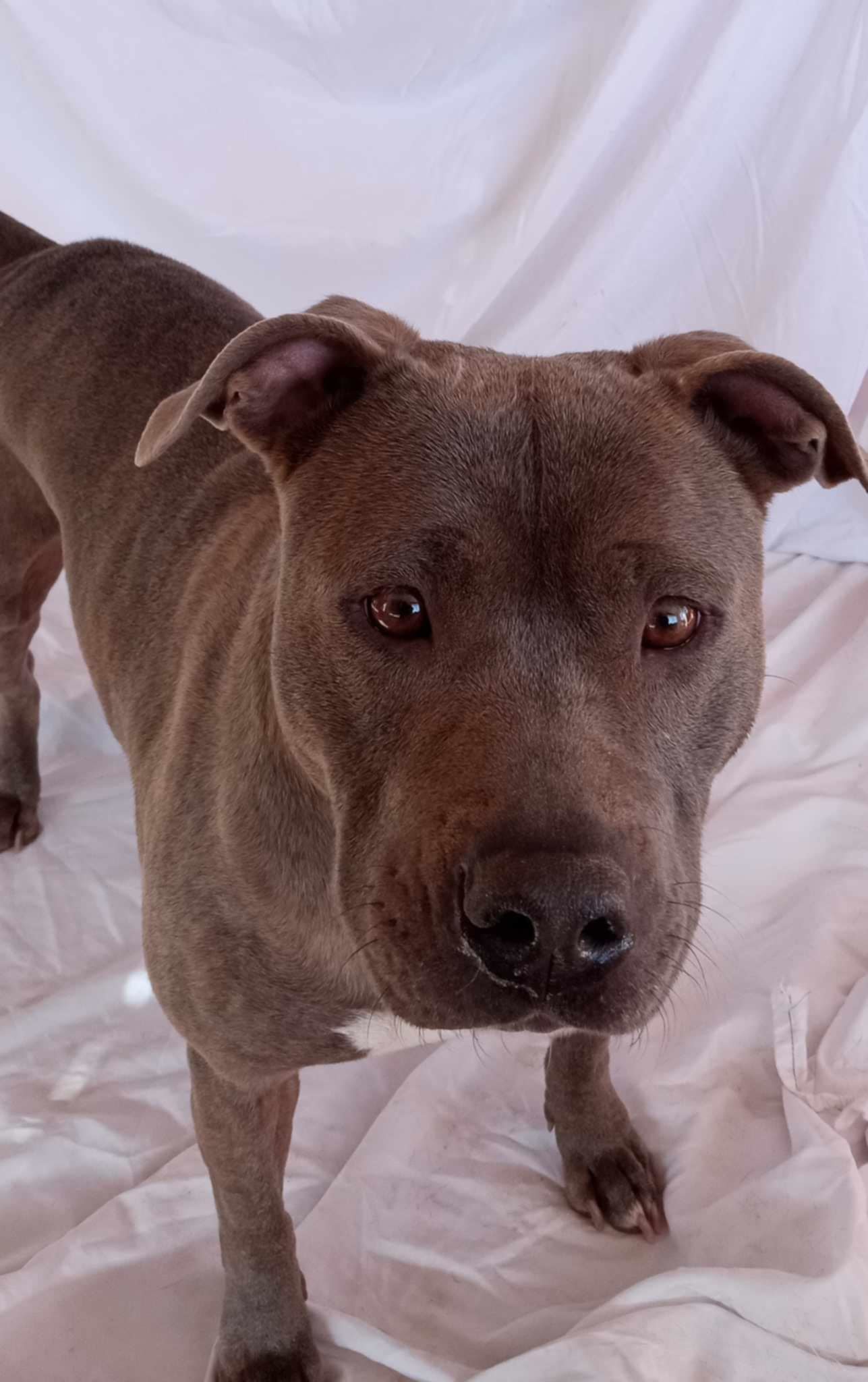 Gina (Courtesy post)
