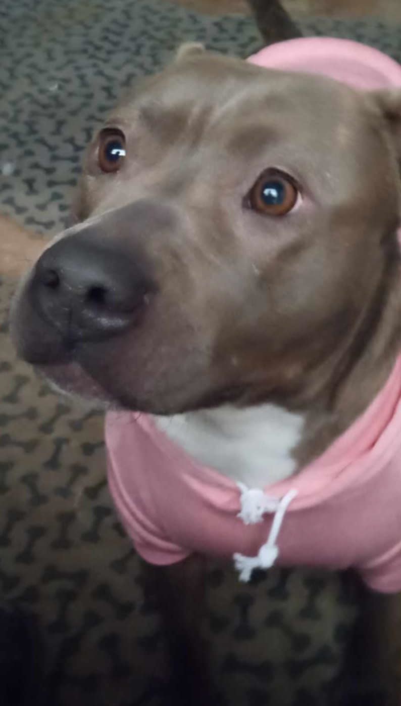Gina (Courtesy post)